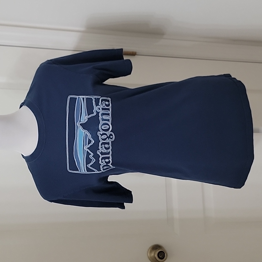 Patagonia Size S Regular Fit Blue Crew Neck Tee Shirt, Excellent Used Condition